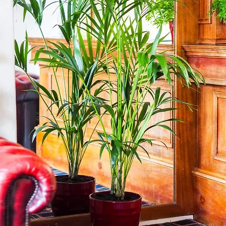Carlton House 3* Скарборо