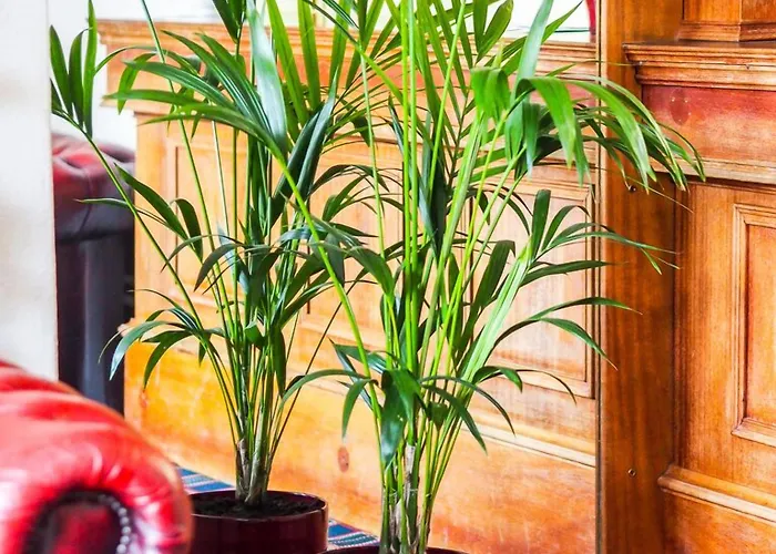 Carlton House Guesthouse 3* Scarborough