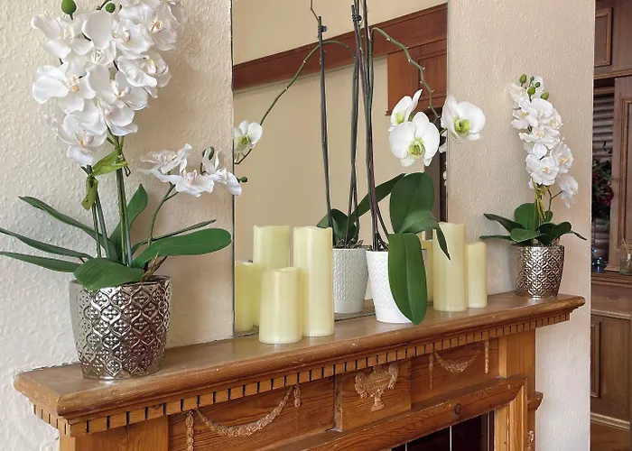 Konukevi Carlton House 3*